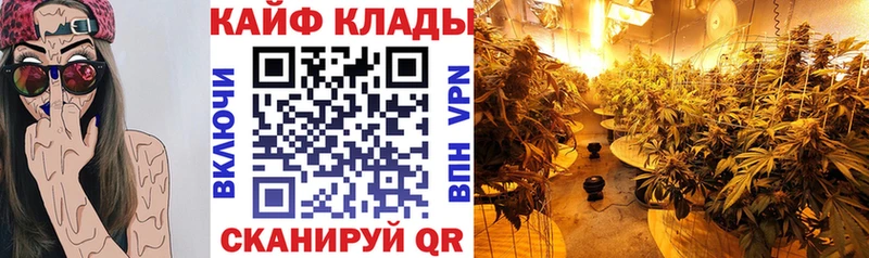 Где купить Воркута Конопля  Амфетамин  ГАШИШ  Кокаин  Alpha PVP 