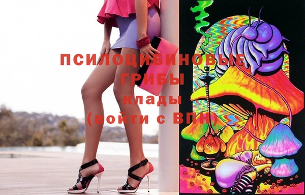 ПСИЛОЦИБИНОВЫЕ ГРИБЫ Богородск
